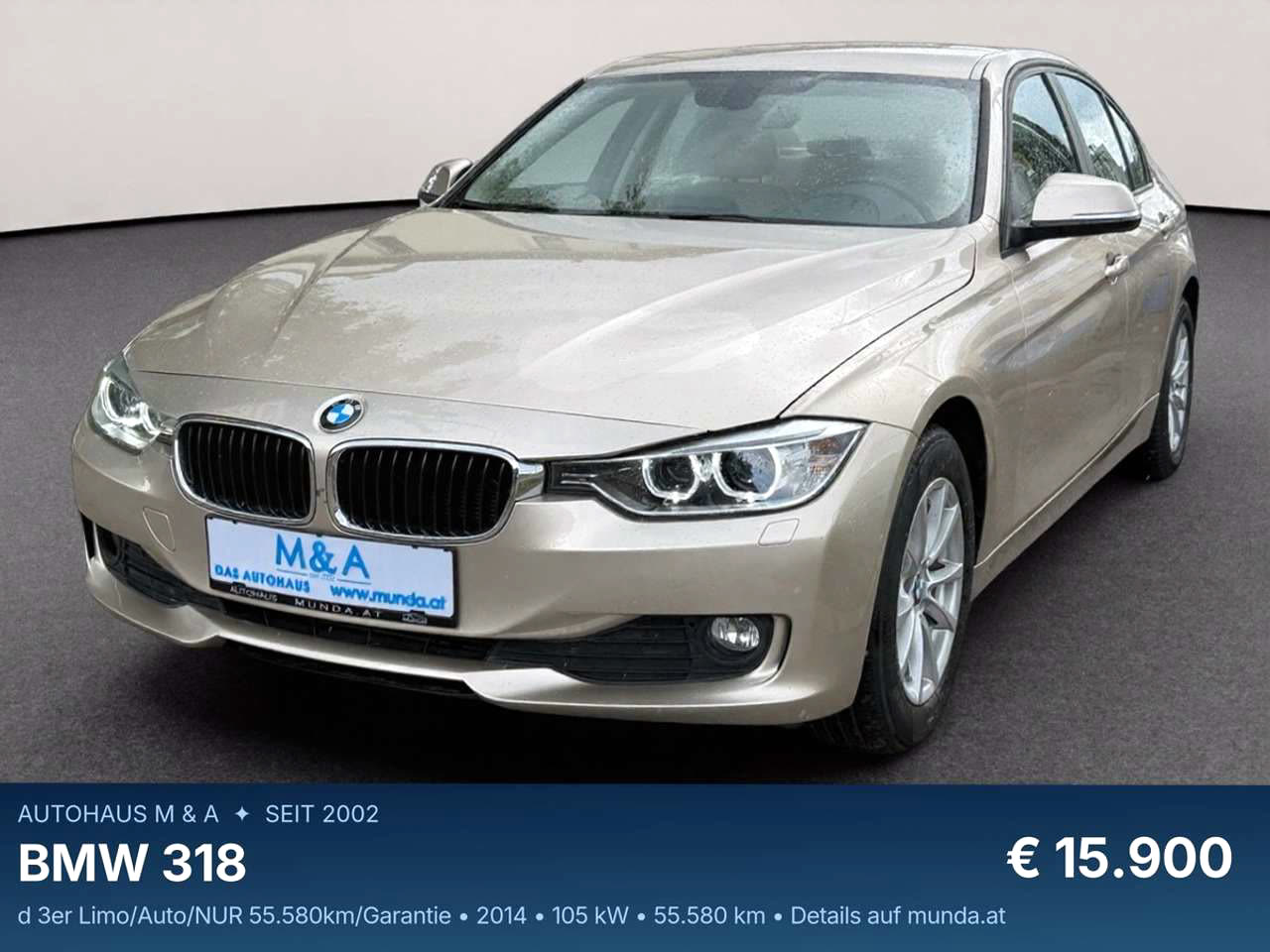 BMW 318