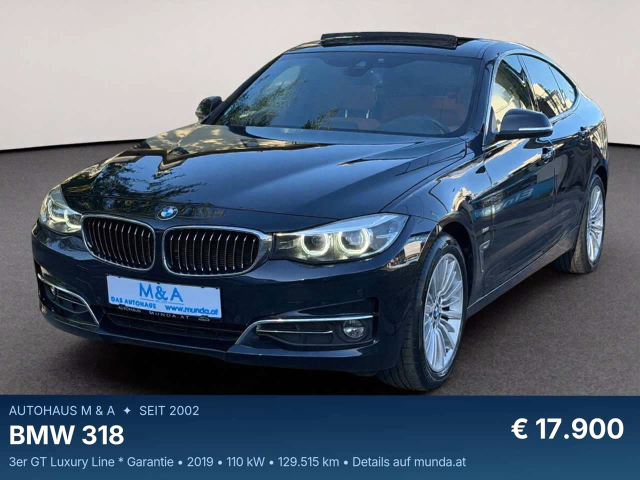 BMW 318