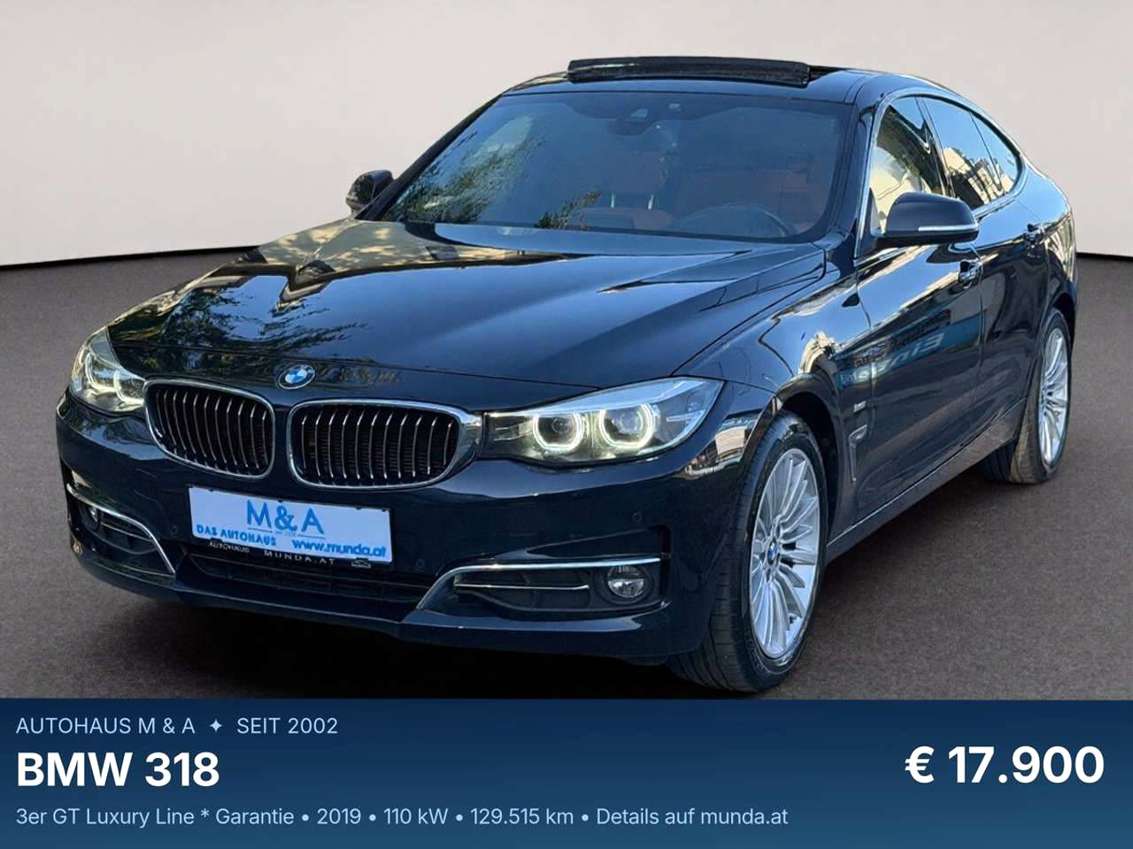 BMW 318