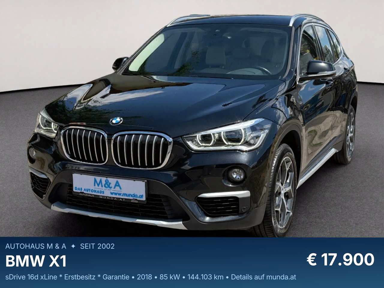 BMW X1
