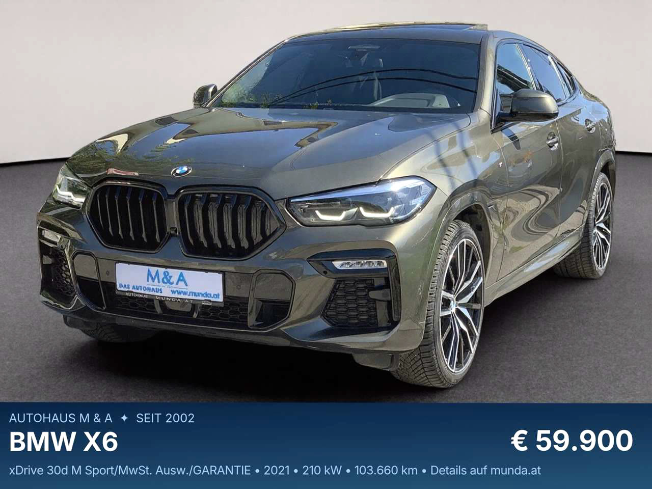 BMW X6