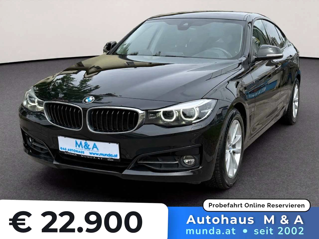BMW 318