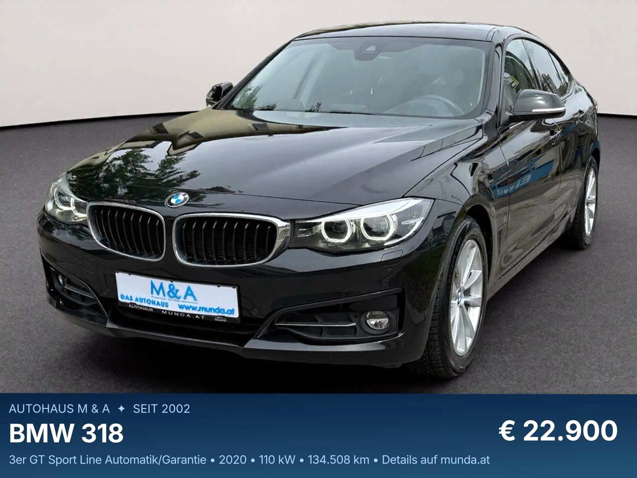 BMW 318